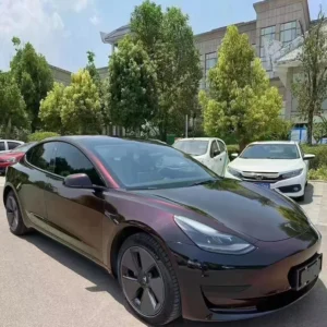 PET8800PETNightEltGlossyFlipBlackRed 2