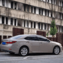 Gloss Metallic Vehicle Beige Clair (PET Liner)