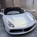 White Gold Chameleon Car wrap