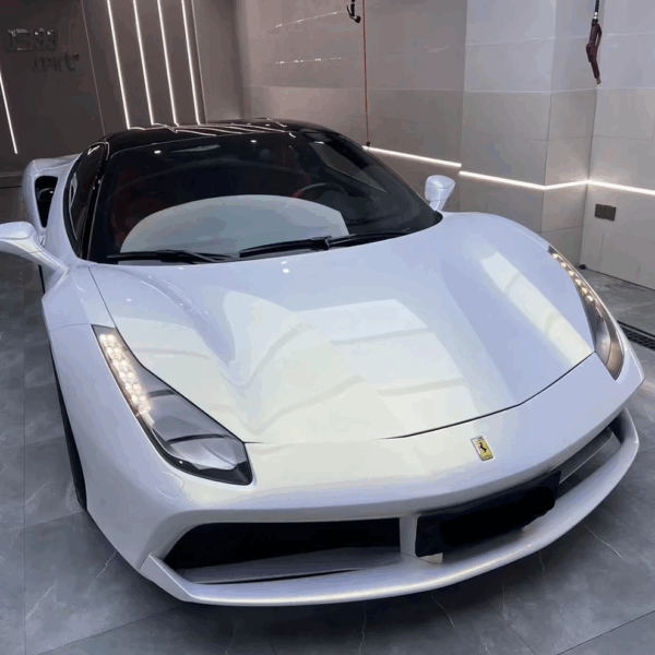 White Gold Chameleon Car wrap - Image 7