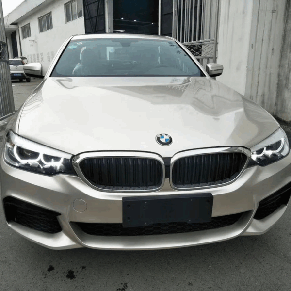 Gloss Metallic Champaign Light Gold Vehicle (PET Liner) - Image 5