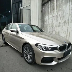 PM3024PETChampaignLightGold 2