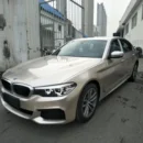 Gloss Metallic Champaign Light Gold Vehicle (PET Liner)
