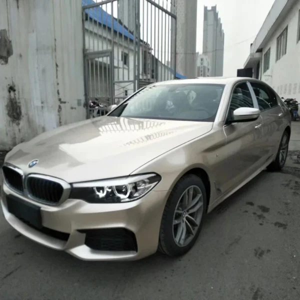 Gloss Metallic Champaign Light Gold Vehicle (PET Liner) - Image 3