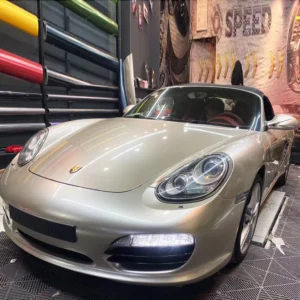 PM3025PETChampaignDarkGold 2