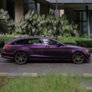 Matte Heavy Metallic Purple