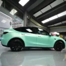 Macaron Gloss Avocado Green