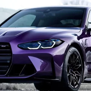 PETMidnightPurple3030 10