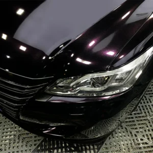 PM3031PETMidnightRed 1