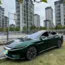 Gloss Metallic Qianshan Green Wraps (PET Liner)