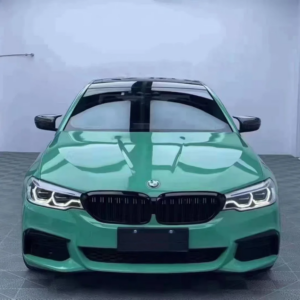 SGCD7046GlossyCystalVintageGreen 4