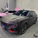 Ultral Matte Metallic Magic Black Purple